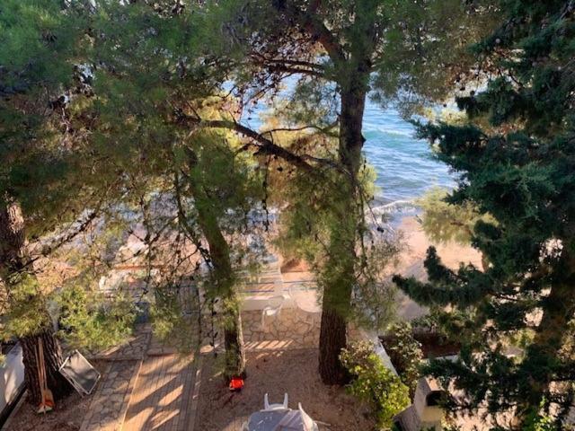 Seaside Apartment Padre بيبينيا المظهر الخارجي الصورة